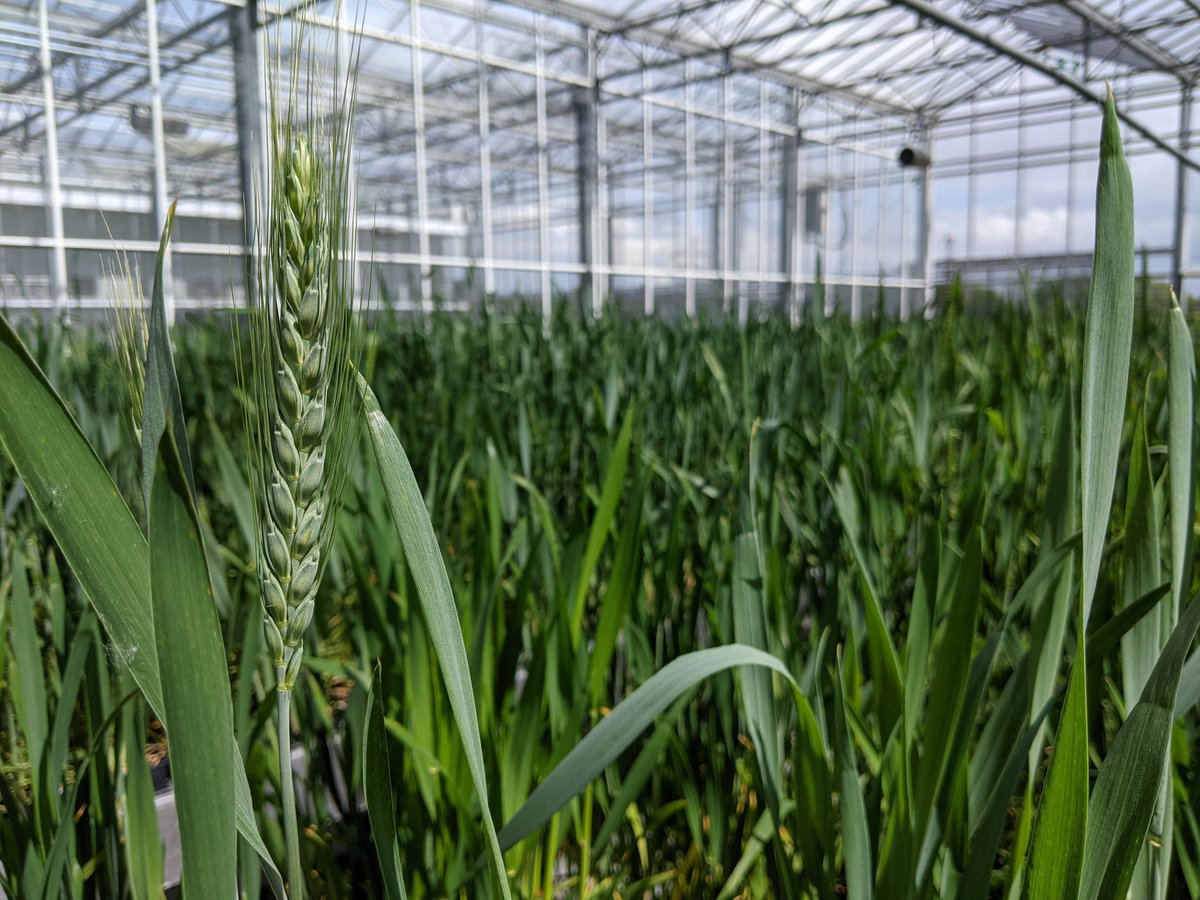 Benjamin J Tea tweet media