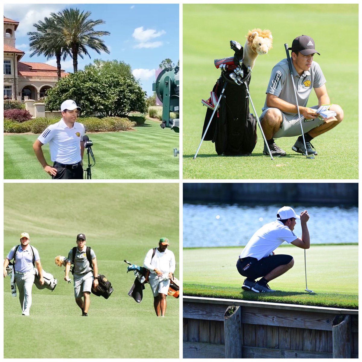 nikolaspitiris's tweet photo. My 1st season in NCAA Div I golf comes to an end with a T13 finish @TPCSawgrass for the PGA Works Collegiate Championship. Excited for my first trip to the home of the @THEPLAYERSChamp and for passing the PGA Playing Ability Test, a requirement for PGA license @UAPBLionsRoar https://t.co/7E5IEEYaXr