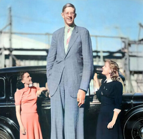 twmundo's tweet photo. El hombre más alto de la historia:
https://t.co/bsbNmQgaR1 https://t.co/FMkWwdmI7y