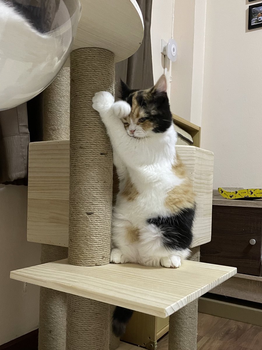 ยืนพิงเสาแบบเครียดๆ