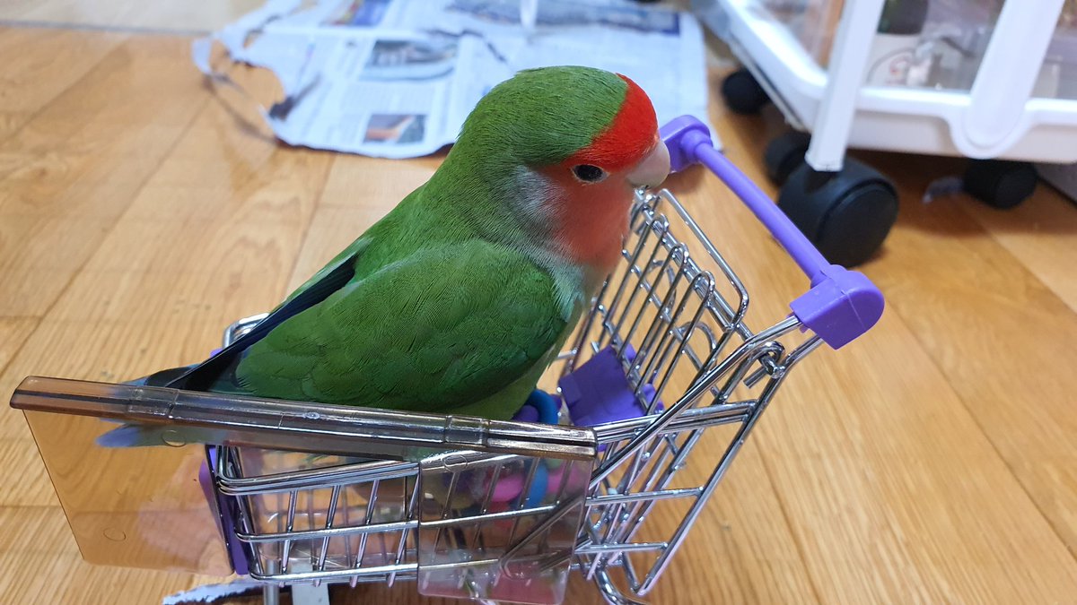 2021.04.14
앵이 지출에서 차지하는 비중을 사진으로 표현해봤습니다🛒💥