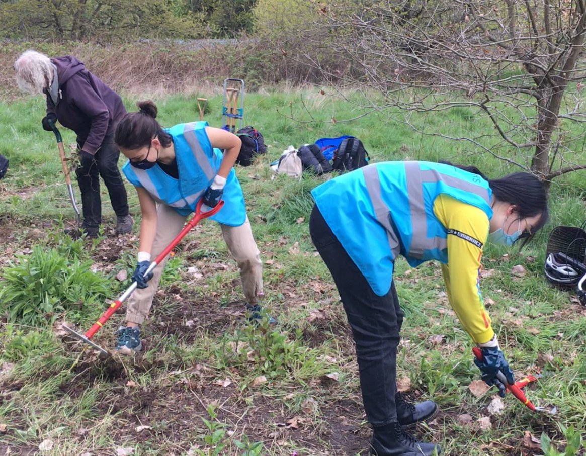 Warwick Volunteers tweet media