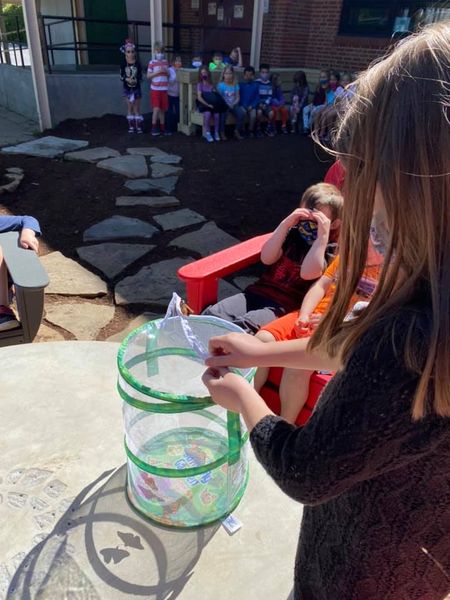 MOSAIC_STL's tweet image. Mrs. Comer’s and Mrs. Donaldson’s students released butterflies in our outdoor classroom this morning. It was cute watching the students wave to the butterflies as they flew away! #msdr9