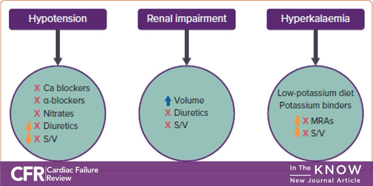 RC_HeartFailure's tweet photo. Are you aware of the benefits of sacubitril with valsartan as a treatment for chronic #heartfailure with reduced ejection fraction (HFrEF)? Dr Mauro Gori et al. review the available data 👉 https://t.co/aVMXja6bCg @MicheleSenni @JJheart_doc @DrDEliaEmilia 

#CFRJournal #CardioEd https://t.co/mMyGhjmolE