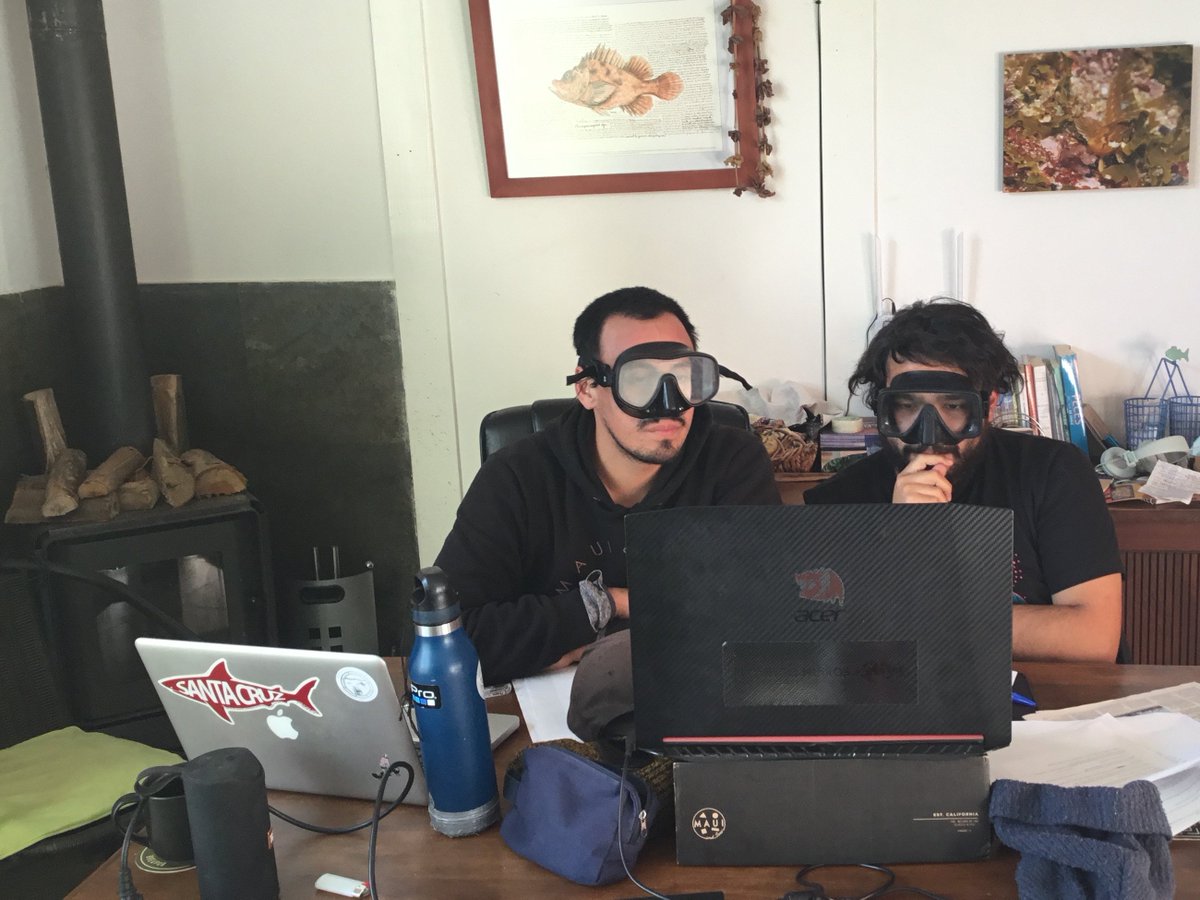 🌊Nuestros buzos y fotógrafos 📸 <a href="/VladimirGarmen1/">Vladimir Garmendia Fernández</a>  y <a href="/NicolasAcunaS/">Nicolás Ricardo</a>  comprometidos con la realización del Taller de Biodiversidad Marina para la escuela libre Tejiendo Sueños, de El Tabo #ProyectoHuiros 

#ConservaciónMarina