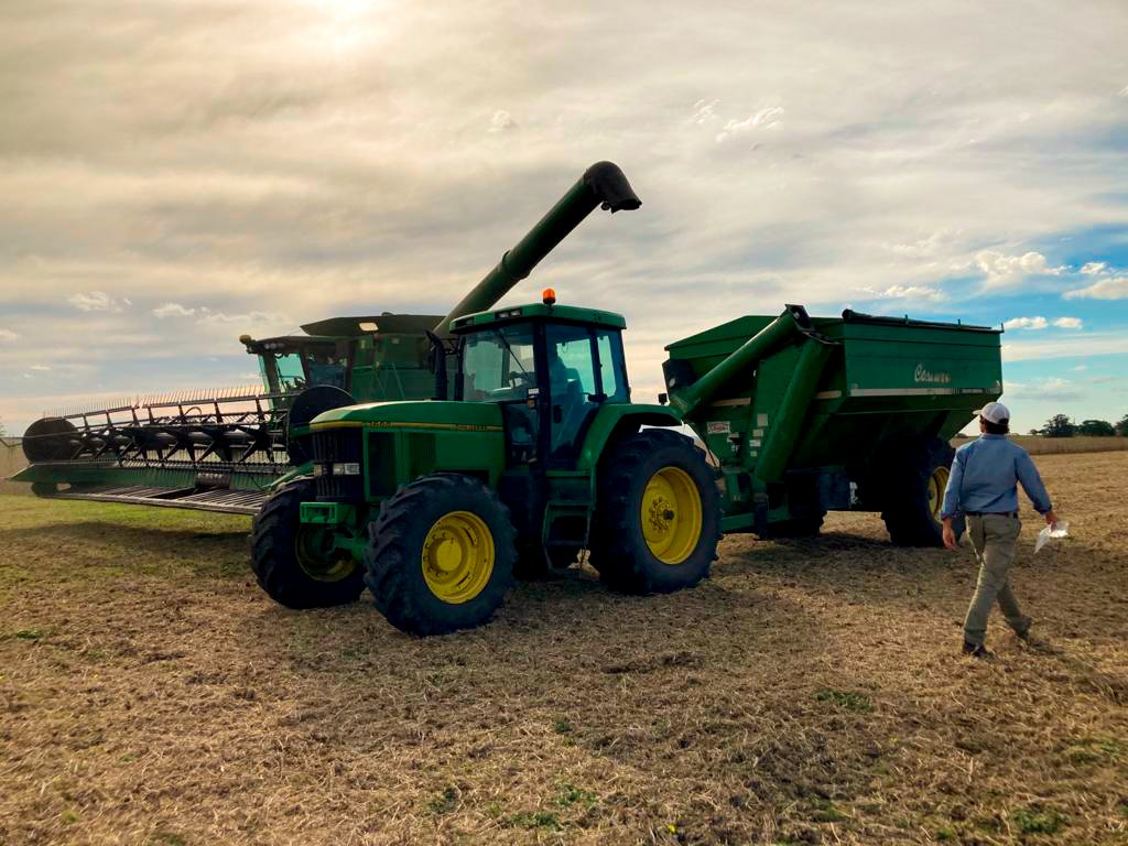 Cosecha de ensayos de Boro en soja, en Florida.
Muy buenos resultados!!

#Soja #Ensayo #Boro #ProveedorDeSoluciones #LideraTuCampo