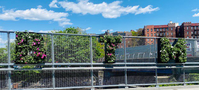 The Bronx is blooming at Bronx Terminal Market 🌸 #bronxweek2021 

#bronxweek #thebronxisbeautiful #bronx #shopbtm