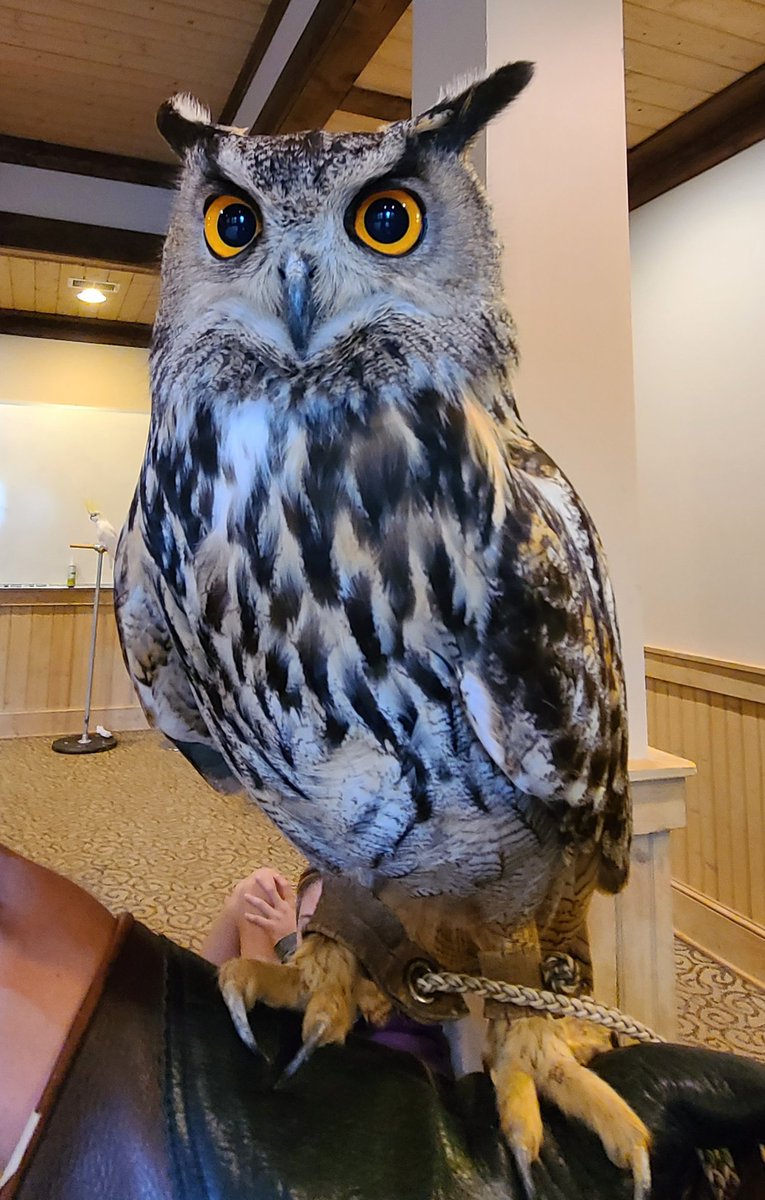 Mr.CutshallScience tweet media