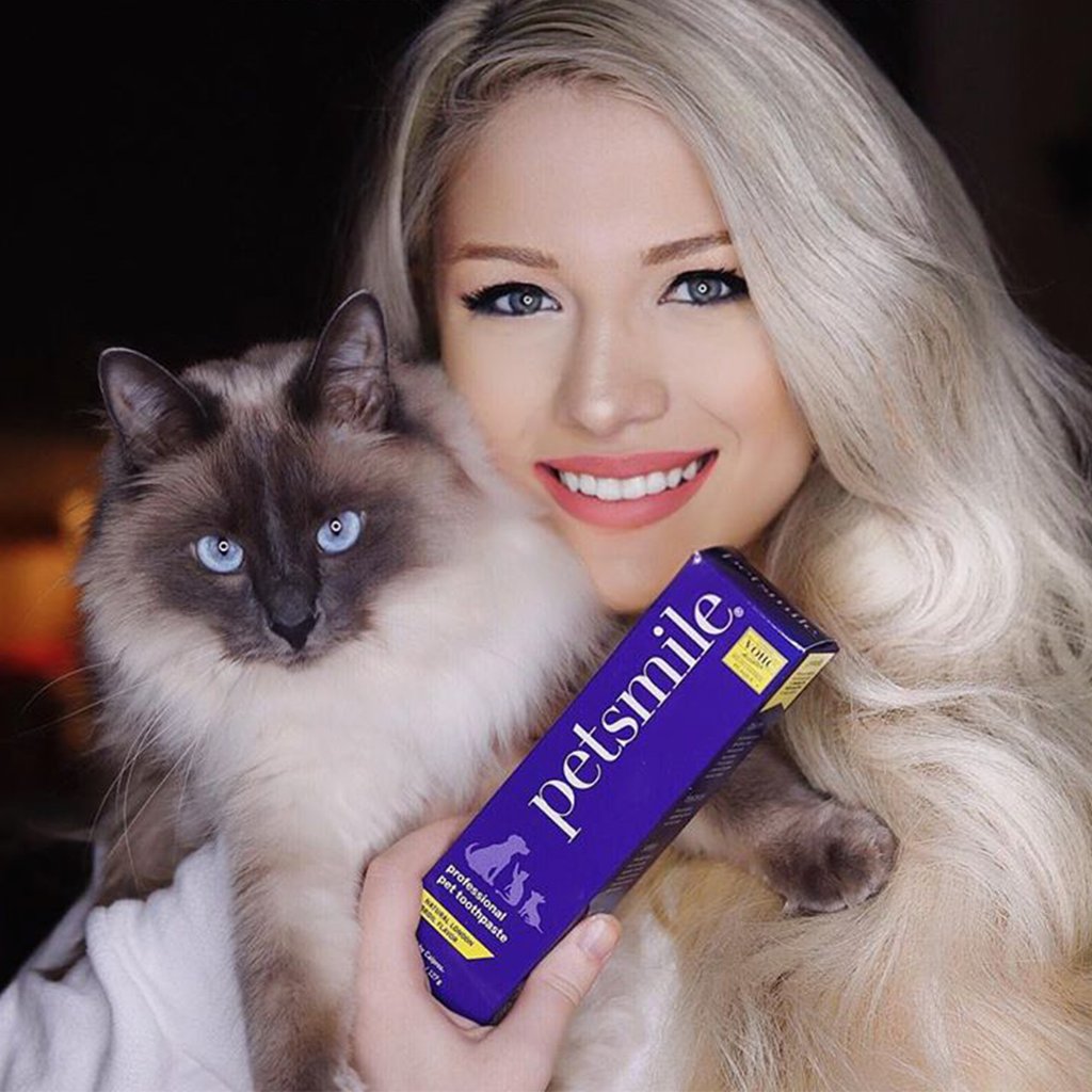 PetsmileUSA's tweet photo. Even if it feels like your health goals are just out of reach, we promise they’re closer than you think. Petsmile can help you get there with our veterinary-approved toothpaste order yours today, and let us know which flavor your pet likes best! @HELLOHANNAH #healthypets https://t.co/Ugb7hy1zWG