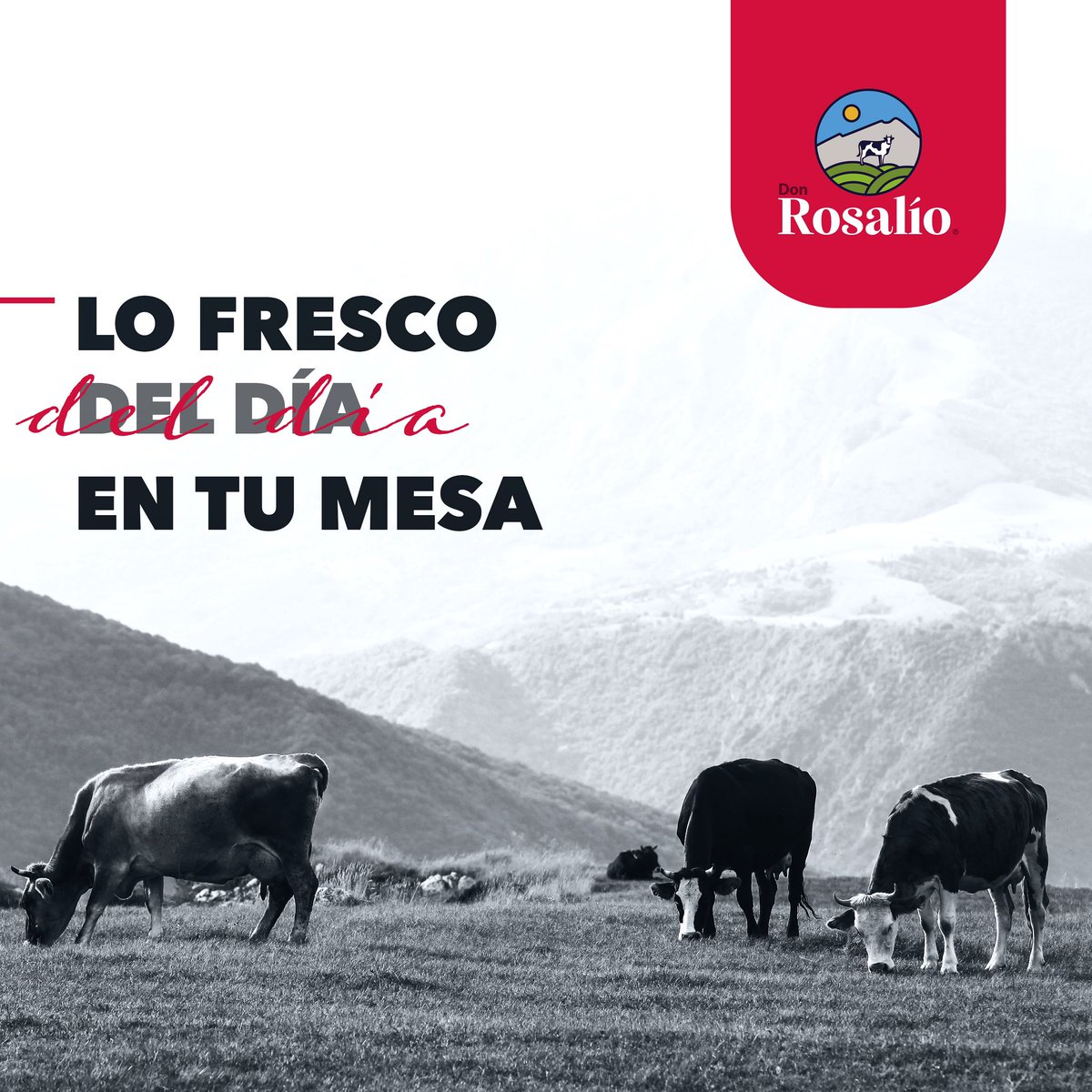 Lo fresco del día en tu mesa 

#Quesos #DonRosalío