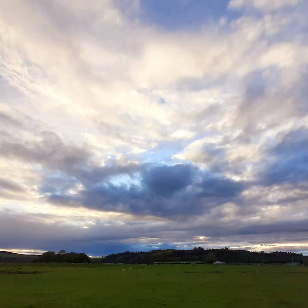 Ken Murphy (@fotod2h) on Twitter photo 