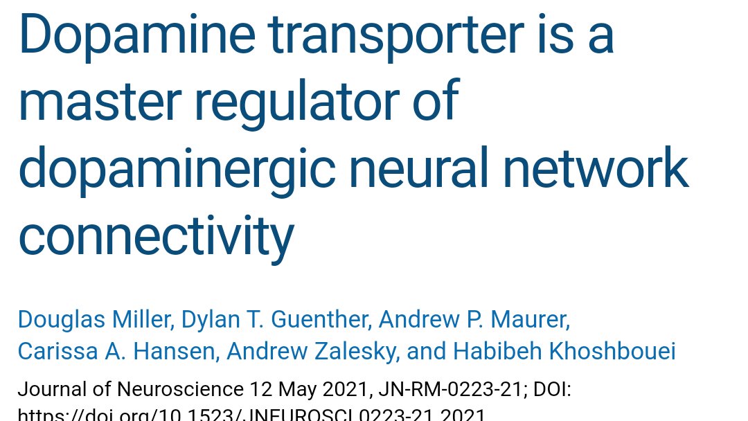 Doug Miller 🔬⚡ (@dougmillerneuro) on Twitter photo My recent work on dopaminergic networks with help of <a href="/theta_monkey/">drewmaurer</a> and <a href="/AndrewZalesky/">Andrew Zalesky</a> is now published at Journal of Neuroscience <a href="/SfNJournals/">SfN Journals</a> and when their site is up, here's the link: jneurosci.org/content/early/…
Please share and retweet! 🙂 My recent work on dopaminergic networks with help of <a href="/theta_monkey/">drewmaurer</a> and <a href="/AndrewZalesky/">Andrew Zalesky</a> is now published at Journal of Neuroscience <a href="/SfNJournals/">SfN Journals</a> and when their site is up, here's the link: jneurosci.org/content/early/…
Please share and retweet! 🙂
