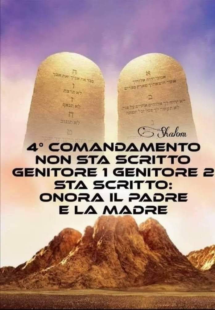 Roby Daskalos🇮🇹 (@roby29880142) on Twitter photo 