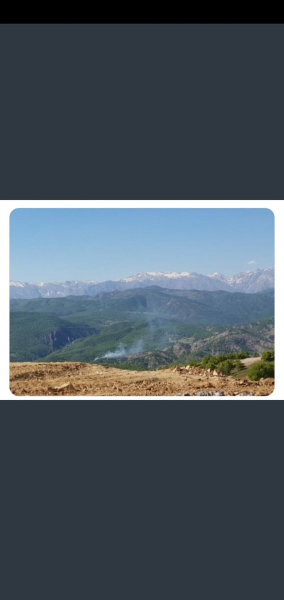 Orman yakmak, yanmasına sebebiyet vermek vesile olmak suçsa söz konusu  Dersim olunca meşru mu oluyor ???? 

#DersimYanıyor
#DersimYanıyorsesver