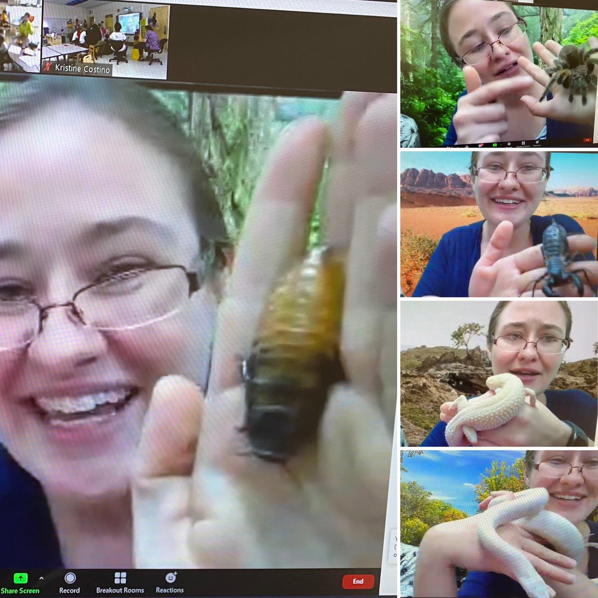 Preschool and kindergarten students LOVED their virtual field trip to the Philadelphia Insectarium and Butterfly Pavilion. We learned so much! 🦎🐍🦂🪳