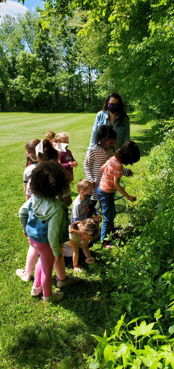 Mrs. Casey’s preschool class has been learning about the butterfly’s life cycle. Today they released their monarch butterflies into nature! 🐛🦋💚
