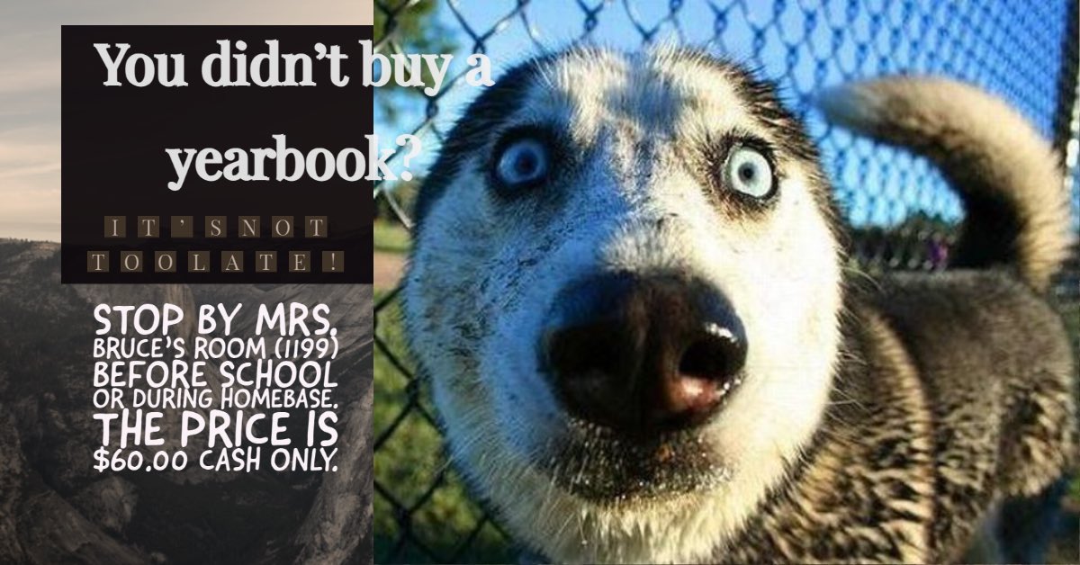 Tays Junior High (@taysjrhigh) on Twitter photo 