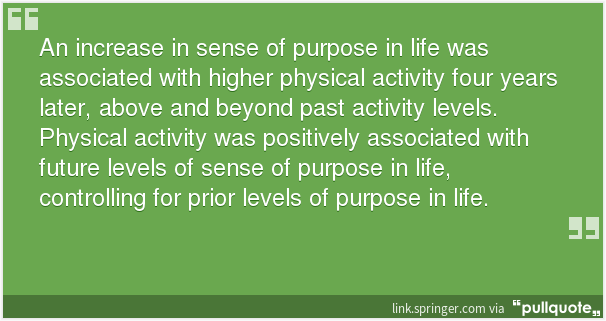 raceryapp's tweet photo. The bidirectional relationship between sense of purpose in life and physical activity: a longitudinal study https://t.co/AZ7OW2WJXw https://t.co/SBEmKyTiiA