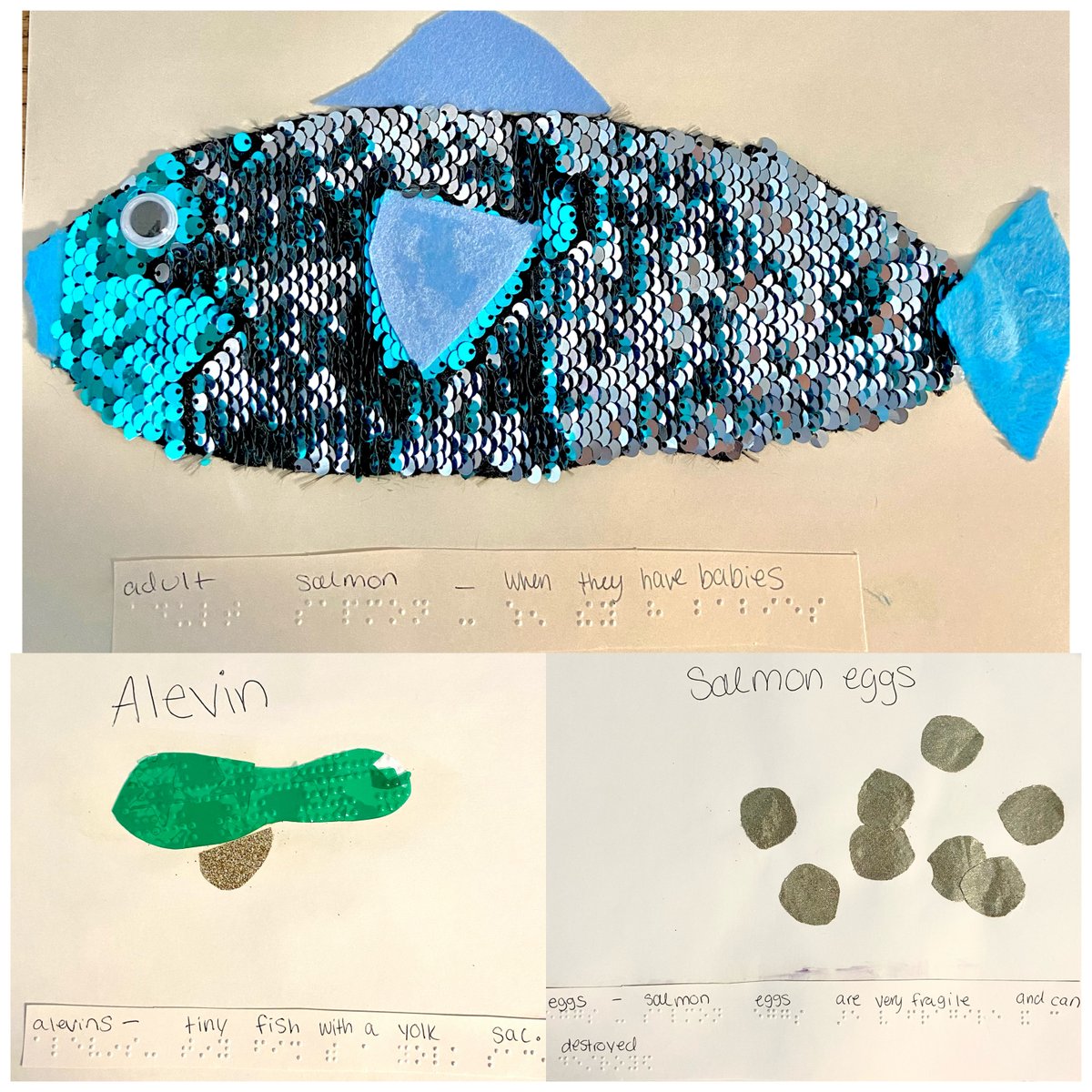 Images of a lobster and salmon tactile diagram using Wiki Stix and other tactile materials for 2nd grade braille student’s research project!