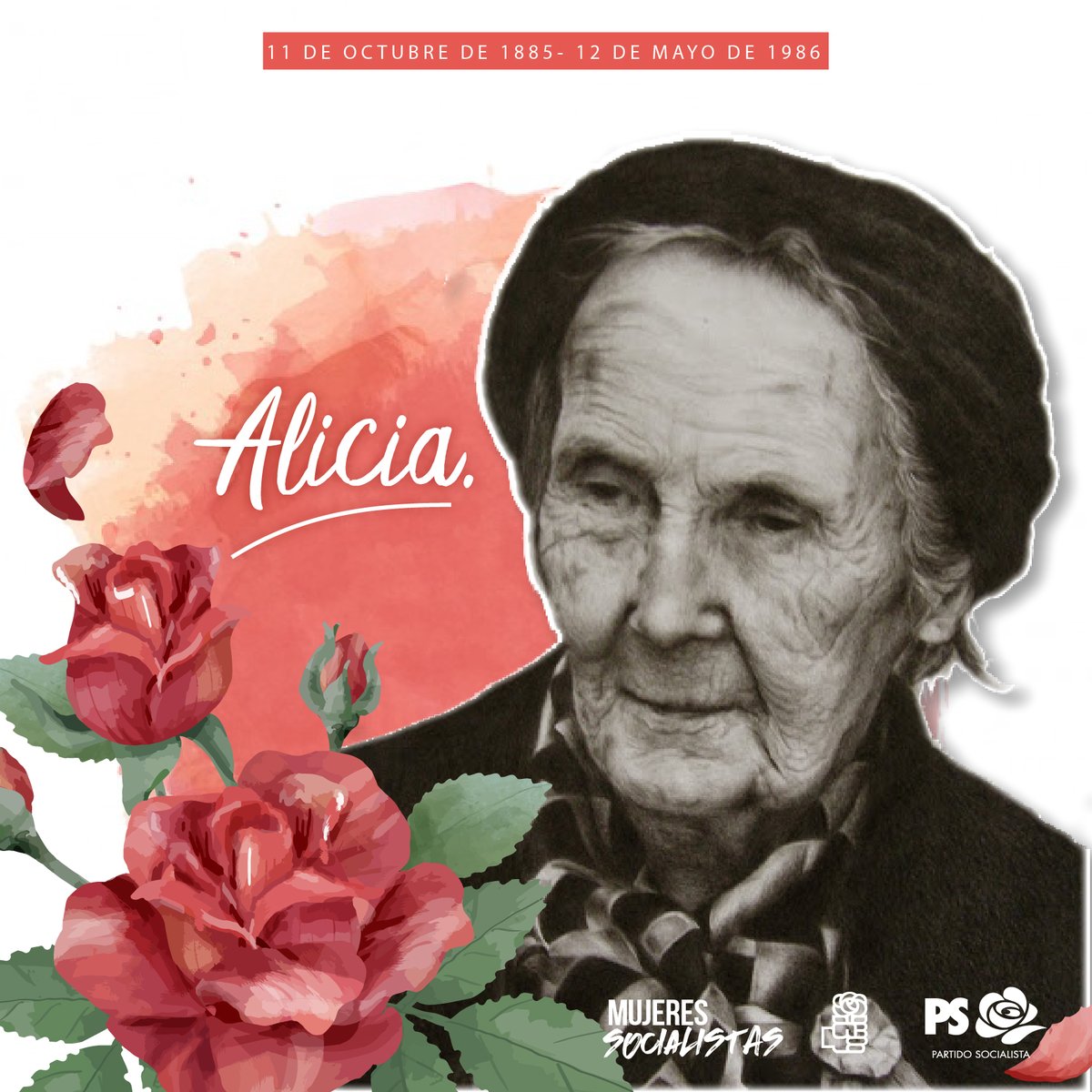 A 35 años de su partida las y los socialistas recordamos a #AliciaMoreau.

Una precursora en la lucha feminista y por los derechos humanos.

Su legado nos inspira siempre a marchar y trabajar por una sociedad más justa e igualitaria✊🌹
#MujeresSocialistas