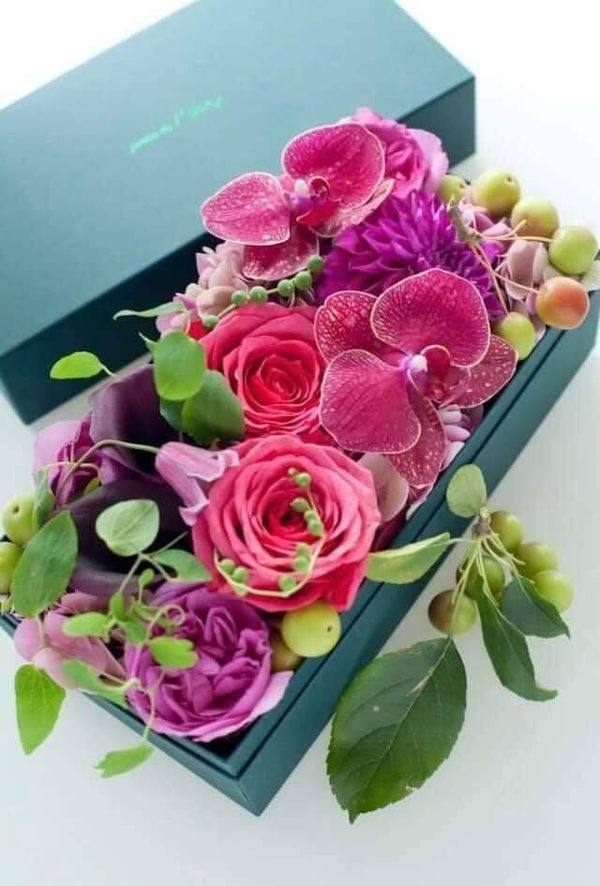TC_TOPRAK_'s tweet photo. @hzlandirc @__Ihtiyar @TC_BERFIN @ArtukPolat @ayseucar5 @HsnBozkurt @haticenevin @mrtslm40 @MedyaSiyaset1 @off_the_recorde @turkcemile66 @Kpak44573807 @SemraKrmzolu1 @ATelgeren @_SerapErim @yigit_emrullah_ @Glverenaltan1 '‵🍃💜🍃 ⁀,) * ¸.•* CANIM¸.•* ¸.•*🍃💜🍃
..`⋎´ .`•.¸.•🍃💜🍃‿.•*´¯ DENIZ*IM🍃🌷🍃 •*´¯🍃
💜🍃‿.•*´¯ 🍃🌷🍃 ‿.•*´¯KUZUM 🍃🌷🍃 ‿.
#Dışarısı ne #kadar #soğuk
#olursa olsun #eviniz ,#yuvanız
#kalpleriniz daima #sıcacık
#huzurlu #olsun💜
AKŞAMINIZ GÜZEL OLSUN 🌷🌿 https://t.co/OgGtWHmRZd