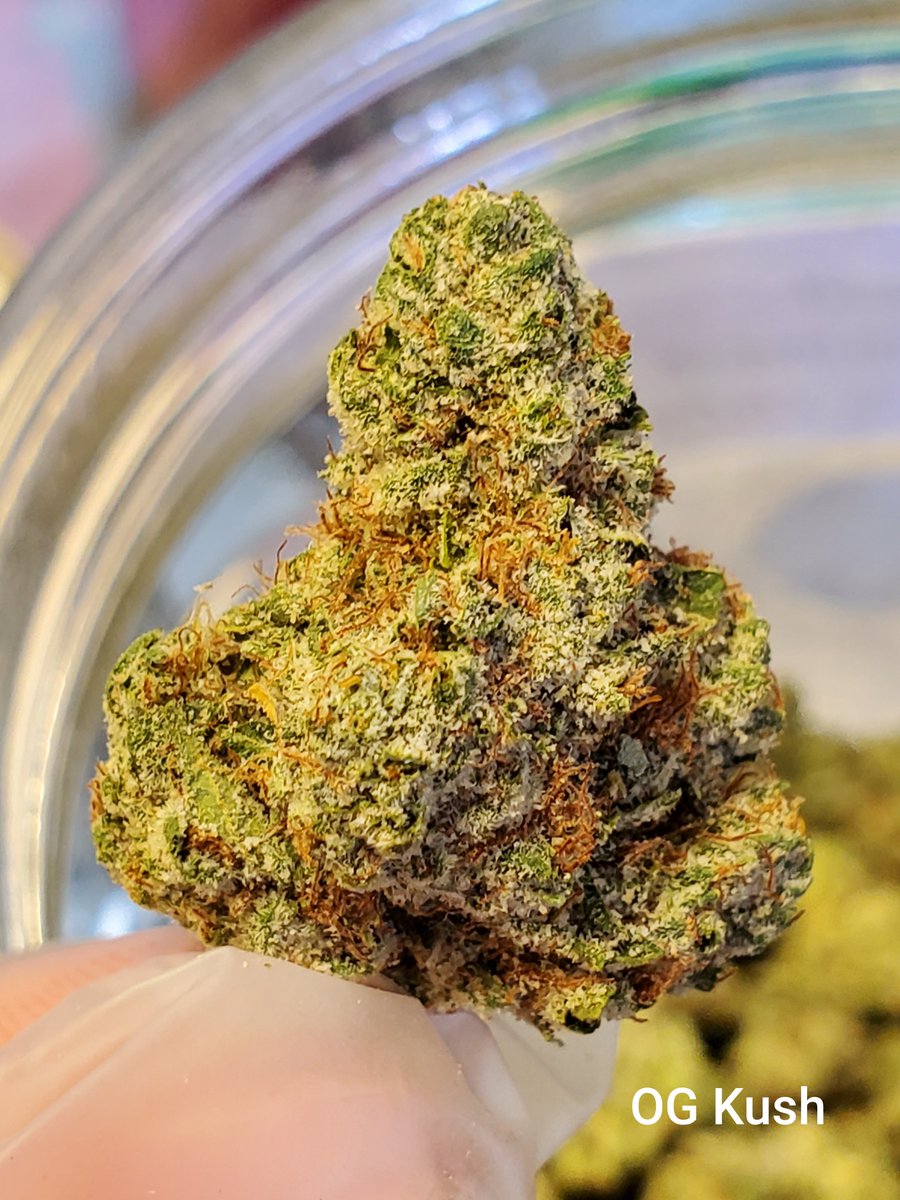 🚨 Fresh Drop Alert 🚨  Med: Witches Weed, Durban Kush, Lemon Glue &amp; More! Rec: Garlic Breath, GMO, OG Kush &amp; More!!