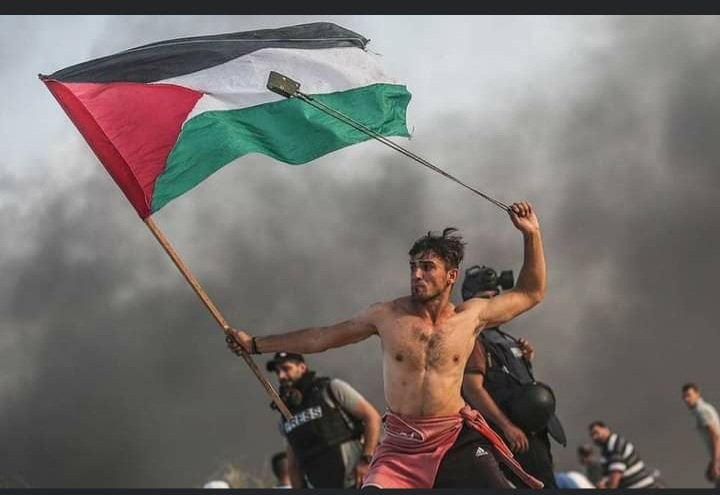 FREE PALESTINE❤❤