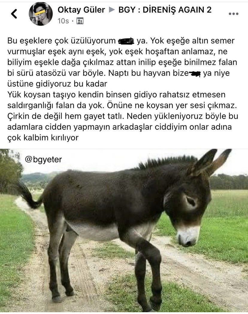 GodlessturtleTr's tweet photo. Eşekleri üzmein la https://t.co/jIENI7OJIW