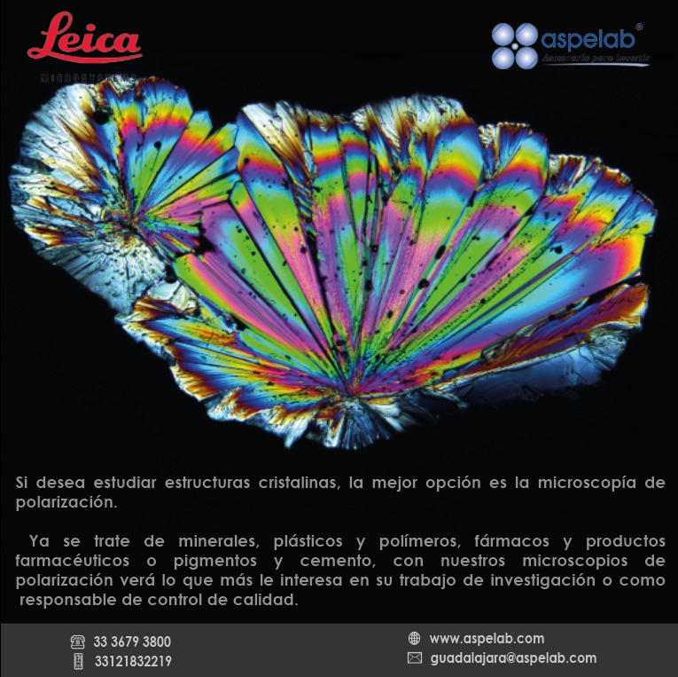 aspelabR's tweet photo. Conozca más en: 
https://t.co/7c8l95TST5

🌐 https://t.co/Mu2g2oDA9Q
✉ guadalajara@aspelab.com
☎ 33 3679 3800
📱 33121832219

#leica #leicamicrosystems #polarizacion #microscopia #microscopio #investigacion #ControlDeCalidad #aspelab https://t.co/PGUIfVpVNL