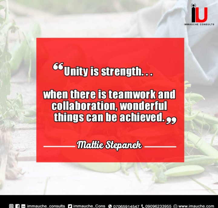 iucmedia_'s tweet photo. *"Talent wins games, but teamwork and intelligence win championships" - Michael Jordan* https://t.co/eSjTU23Y5X