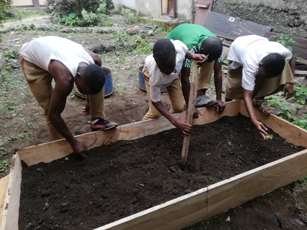 Nazareth Cameroun Collèges Innovateurs tweet media