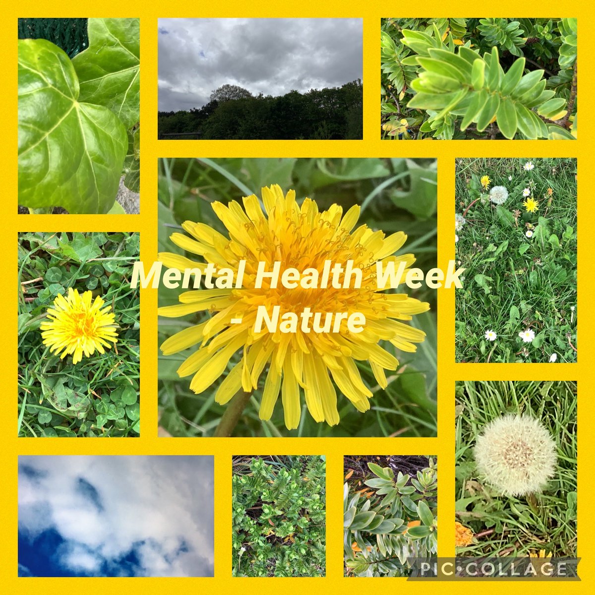 Year5Croxteth's tweet photo. Year 5F took some wonderful photographs of nature for Mental Health Week https://t.co/DTBMSVIkZ0