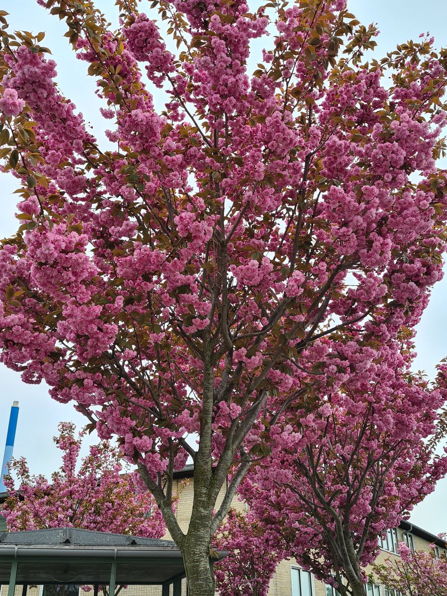 funnyguy744's tweet photo. #Freshshot
#spring https://t.co/TxphFYq4wo