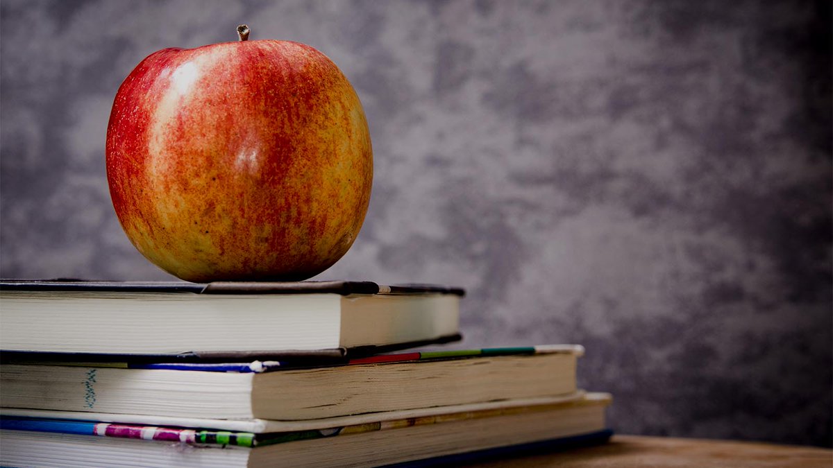 Transparantie's tweet photo. TI-NL start onderzoek naar ethiek en integriteit in het hoger onderwijs https://t.co/qsqnqkUgep https://t.co/OaYDbpfjbA