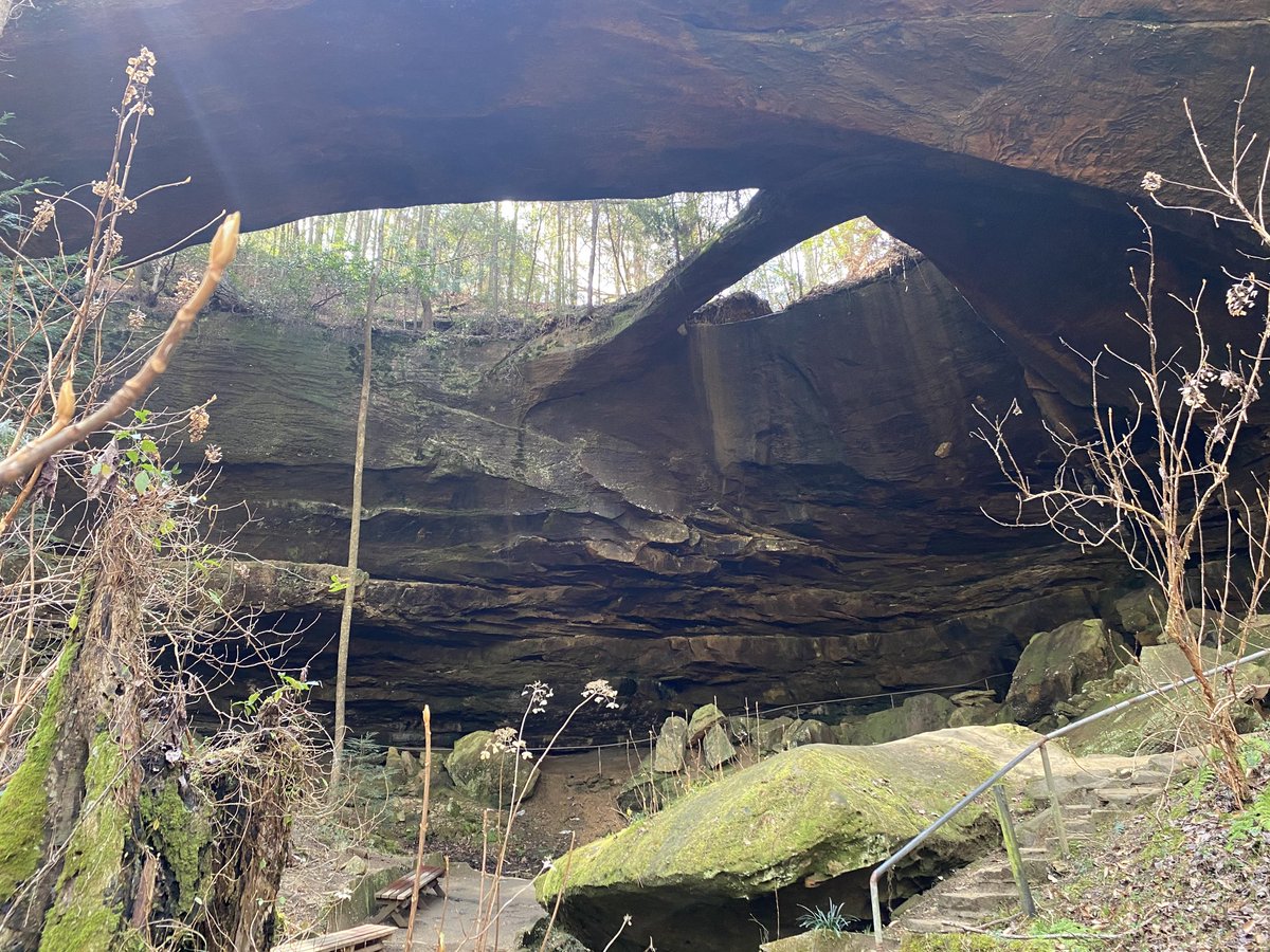 MandMHitTheRoad's tweet photo. A roadside sign led us to The Natural Bridge of Alabama which is the longest natural bridge east of the Rockies.
#naturalbridge #naturalbridges #explorealabama #easyhike #hikealabama #rvlife #rvlifestyle #gorving #letsgo #homeiswhereyouparkit #takemewithyou #mandmhittheroad https://t.co/kCCDphJsGJ