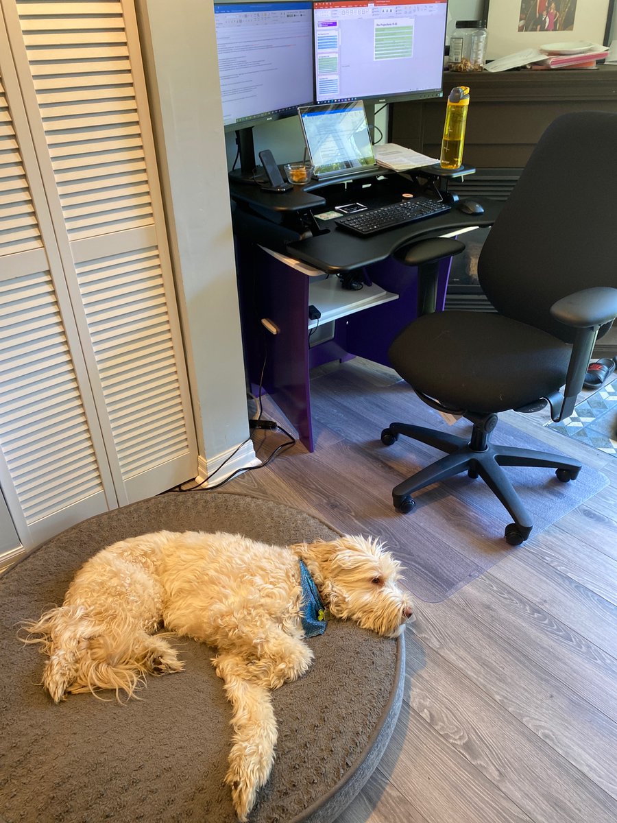 Every day... my best friend is at my side all day ... wonder if he poses a security threat listening to all my phone calls all day? 😀