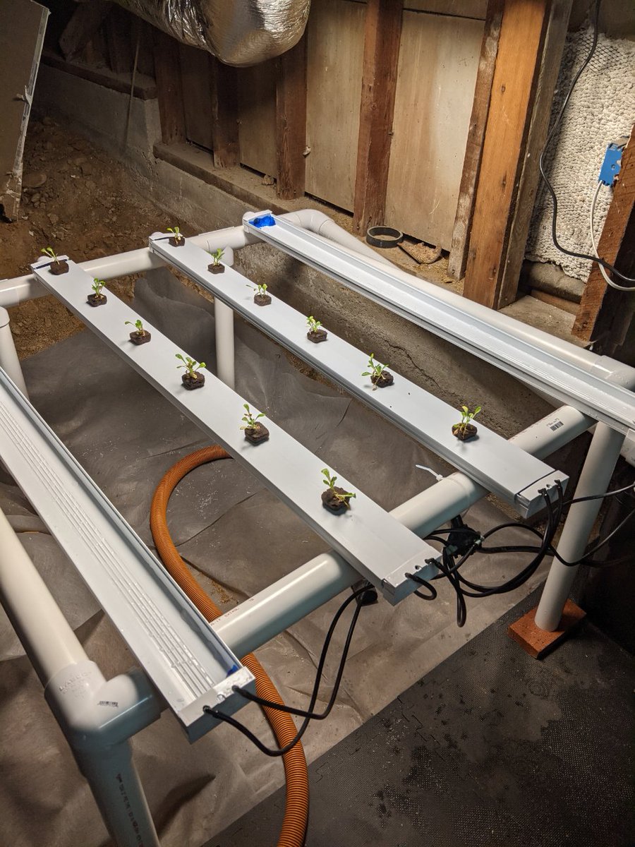 Urban Growth tweet media