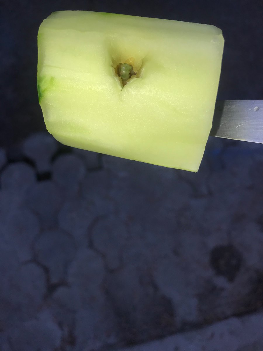 vron_x3's tweet photo. @ShopRiteStores y’all are lucky I didn’t feed this cucumber to my son yesterday, thank god I noticed it looked a little “rotten” on the inside. I cut it open and there was a worm in there. I got this cucumber from shoprite in Montgomery. https://t.co/cew44QatC6