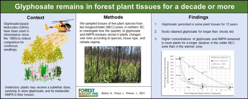 GMWatch (@gmwatch) on Twitter photo Glyphosate remains in forest plant tissues for a decade or more sciencedirect.com/science/articl… Forest plants, which have received a sub-lethal dose, found to have #glyphosate, and its metabolite AMPA, stored in their roots, shoots and fruits. <a href="/stopthespraybc/">StopthesprayBC</a> <a href="/StopSprayingNB/">Stop Spraying NB</a> Glyphosate remains in forest plant tissues for a decade or more sciencedirect.com/science/articl… Forest plants, which have received a sub-lethal dose, found to have #glyphosate, and its metabolite AMPA, stored in their roots, shoots and fruits. <a href="/stopthespraybc/">StopthesprayBC</a> <a href="/StopSprayingNB/">Stop Spraying NB</a>