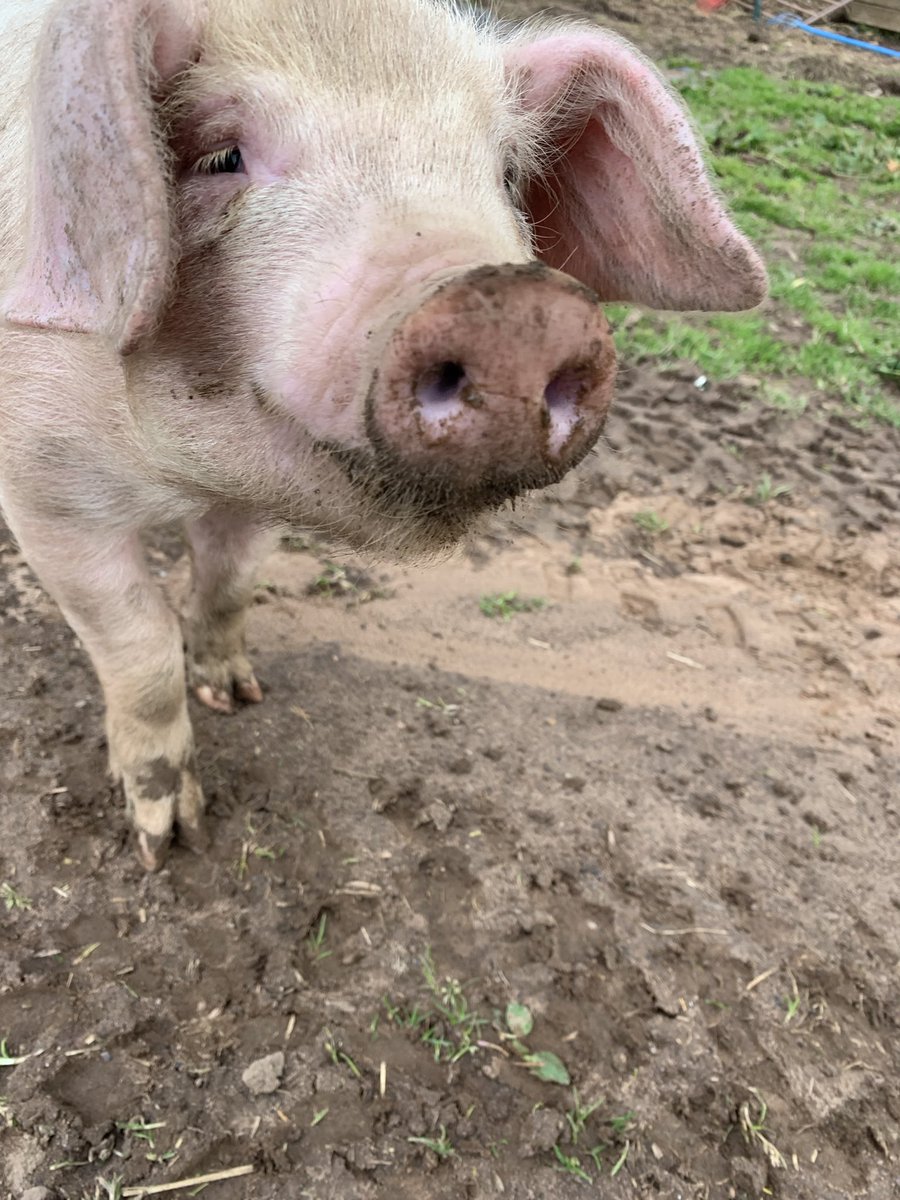 Martha Roberts tweet media