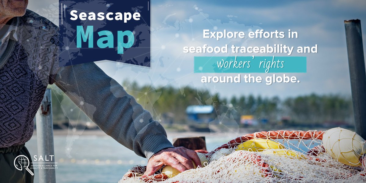 SALTtrace's tweet photo. Our Seascape map now features over 200 traceability, counter-illegal fishing, and social responsibility efforts!! Explore these global efforts to see how #seafood is #TraceableTogether. https://t.co/LTpvjxe5Fi https://t.co/WewzW8k9Ay