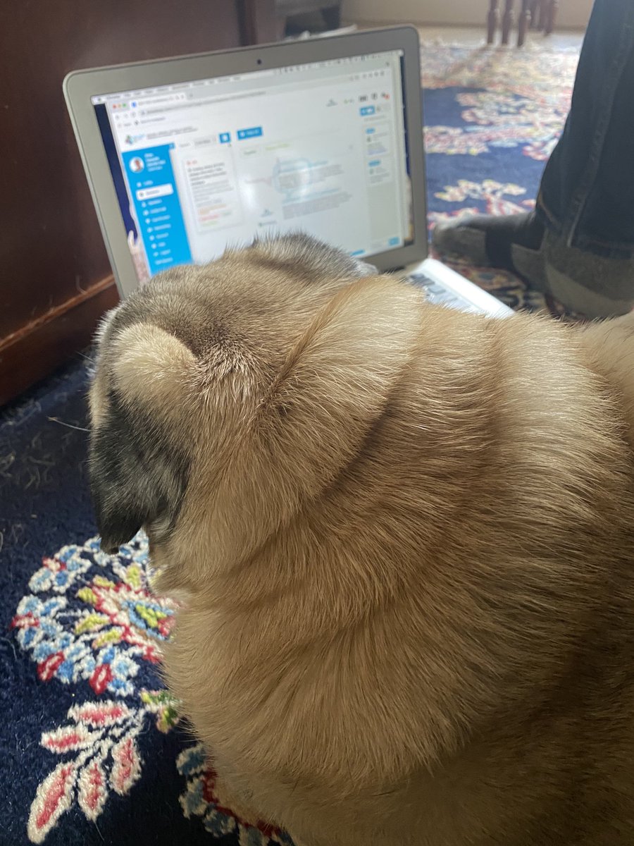 carolynhoessler's tweet photo. #evalc2021 #EvalPets with @StrongRoots_SK and Gizmo https://t.co/X7ykRcvPMn