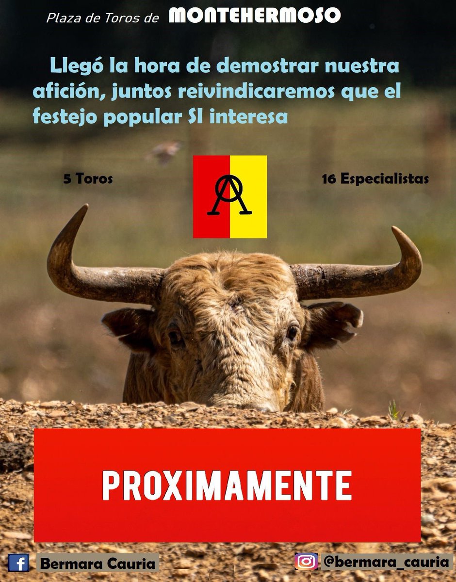 Festejo popular en el norte de Extremadura próximamente más información .