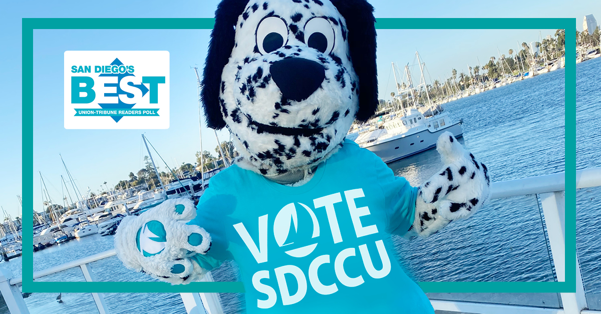 sdccu's tweet photo. Sandy wants YOU to VOTE SDCCU in the 2021 San Diego’s BEST Union-Tribune readers poll. It’s easy, vote online at https://t.co/DA6Kw8zXT7, now through June 10.
Federally insured by NCUA.
#SDbest #best #sandy #sandiego #vote #creditunion #autoloans #mortgage https://t.co/xQhFEQNZob