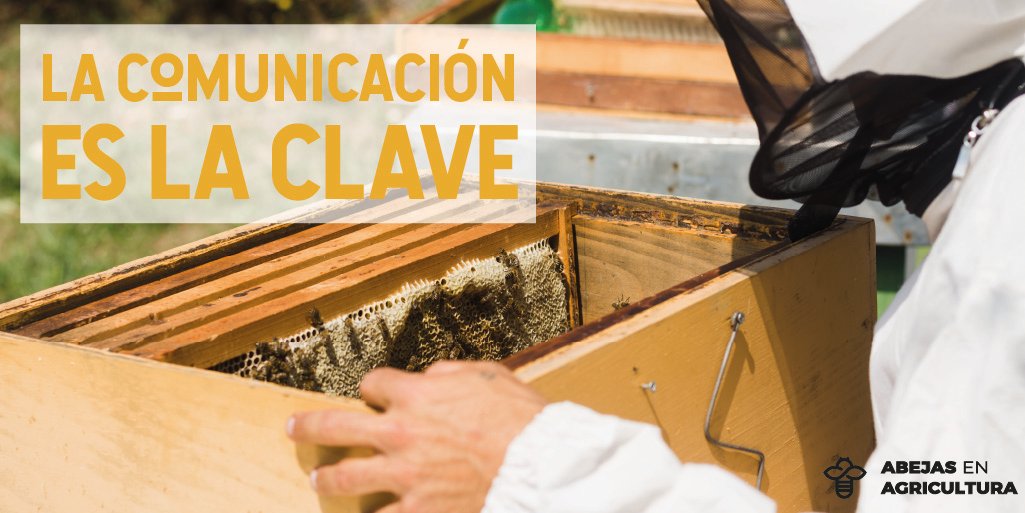 La comunicación entre apicultores y agricultores es la clave para ayudar a mejorar la salud de las abejas, tener colmenas sanas y productivas, recuerda que juntos logramos #LaUniónMásDulce  🐝🍯💛 abejasenagricultura.org#AbejasColombia #ApiculturaParaTodos