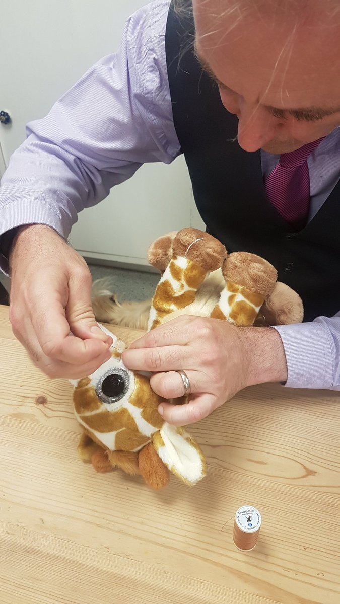 saintmonicas's tweet photo. Veterinary surgery all part of the service! https://t.co/8MYEVTW7W4