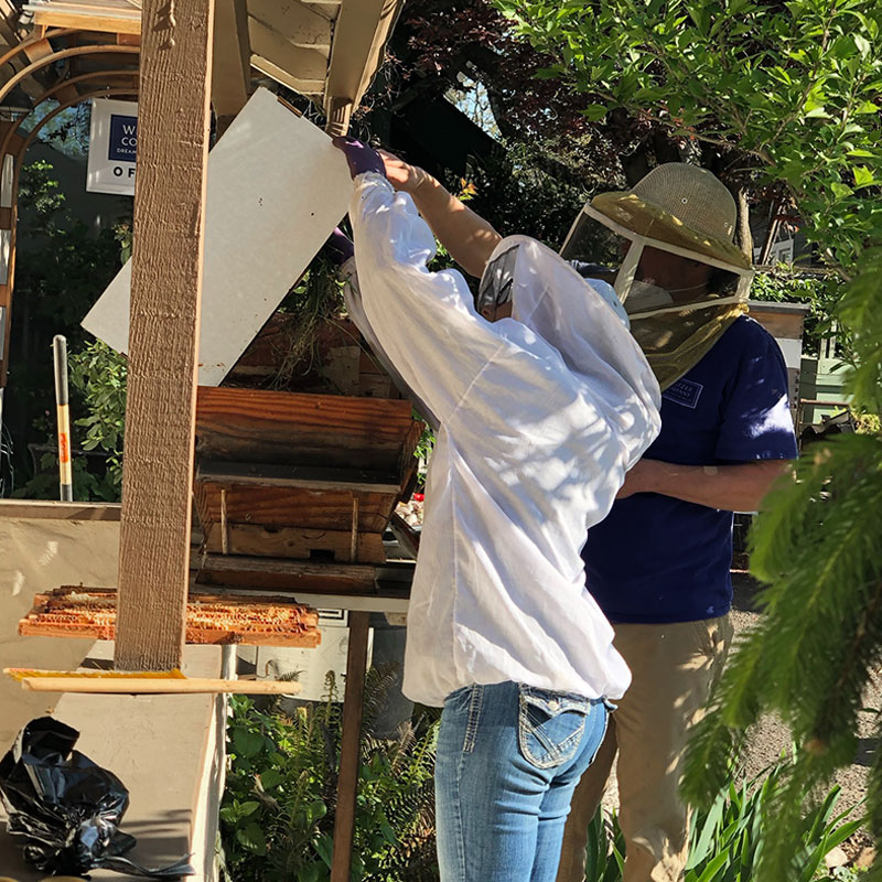 WeitzerCompany's tweet image. #beebehavior #beekeepers #beekeepingequipment #beeswax #gardenblossoms #gentlebees #beehives #pollen #swarms #waterforbees #wildflowers