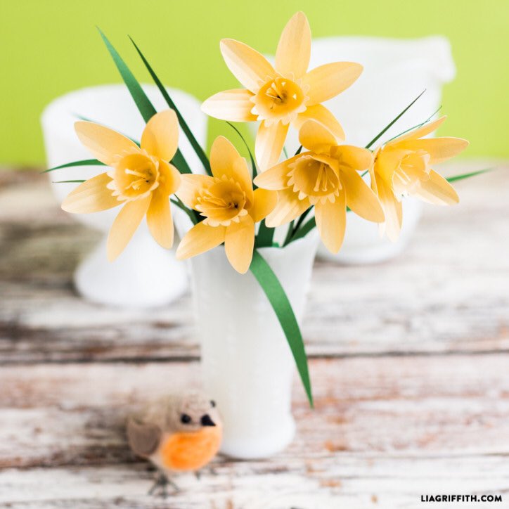 Neticami, bet tas ir papīrs! 🤔