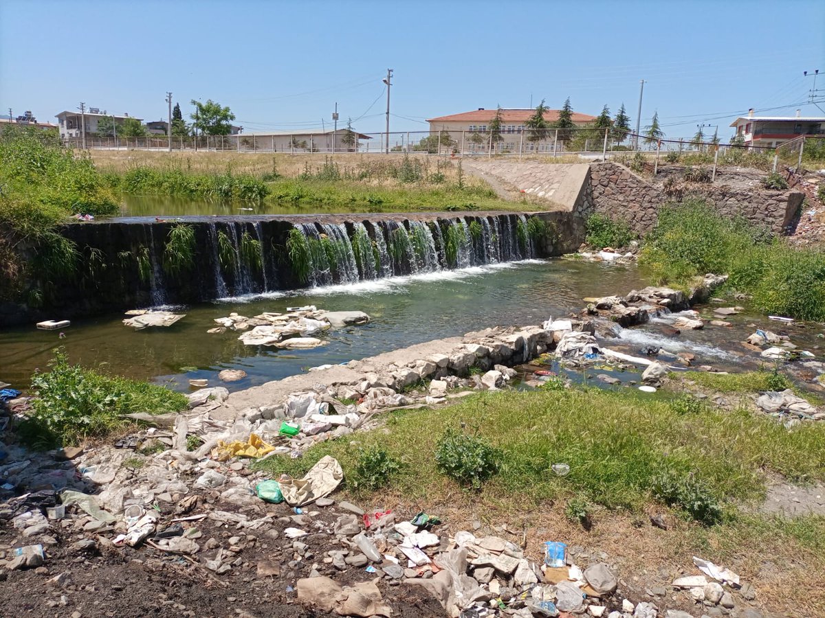 ErusEngin's tweet image. Doğamızın katledilmesine izin vermiyeceğiz. Yıllardır yanlış giden sistemi kabul etmiyoruz. Sorun daha çok büyümeden lütfen beraber çözelim bu sorunumuzu sayın başkanlar @ZekiKAYDA @cengizergun @manisabsb
#SalihliKokusuÇıktı
Fotoğraflara bakın lütfen vicdanınız kabul ediyor mu?