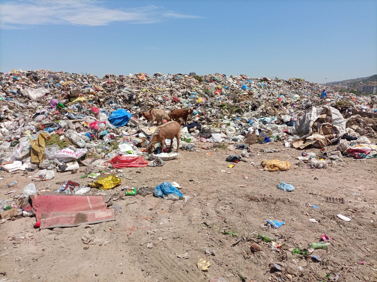 ErusEngin's tweet image. Doğamızın katledilmesine izin vermiyeceğiz. Yıllardır yanlış giden sistemi kabul etmiyoruz. Sorun daha çok büyümeden lütfen beraber çözelim bu sorunumuzu sayın başkanlar @ZekiKAYDA @cengizergun @manisabsb
#SalihliKokusuÇıktı
Fotoğraflara bakın lütfen vicdanınız kabul ediyor mu?